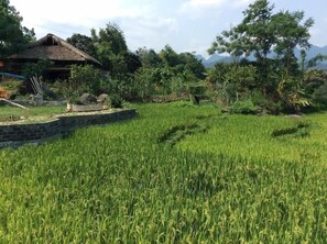Property grounds - Dong Que Homestay - Hostel (Ha Giang)