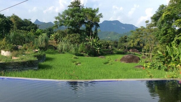 A swimming pool with a view of a grassy area, trees, and mountains in the background. - Dong Que Homestay - Hostel (Ha Giang)