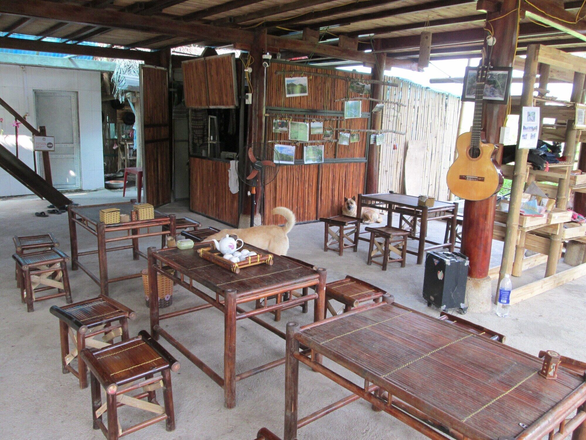A rustic wooden interior with tables, chairs, a guitar, and a dog.