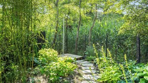 Jardim