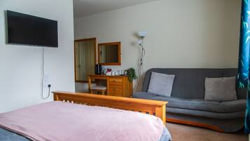 A bedroom with a bed, a desk, a sofa, a TV, and a mirror.
