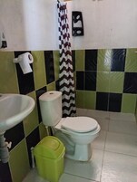 Ducha, toallas, jabón, papel higiénico