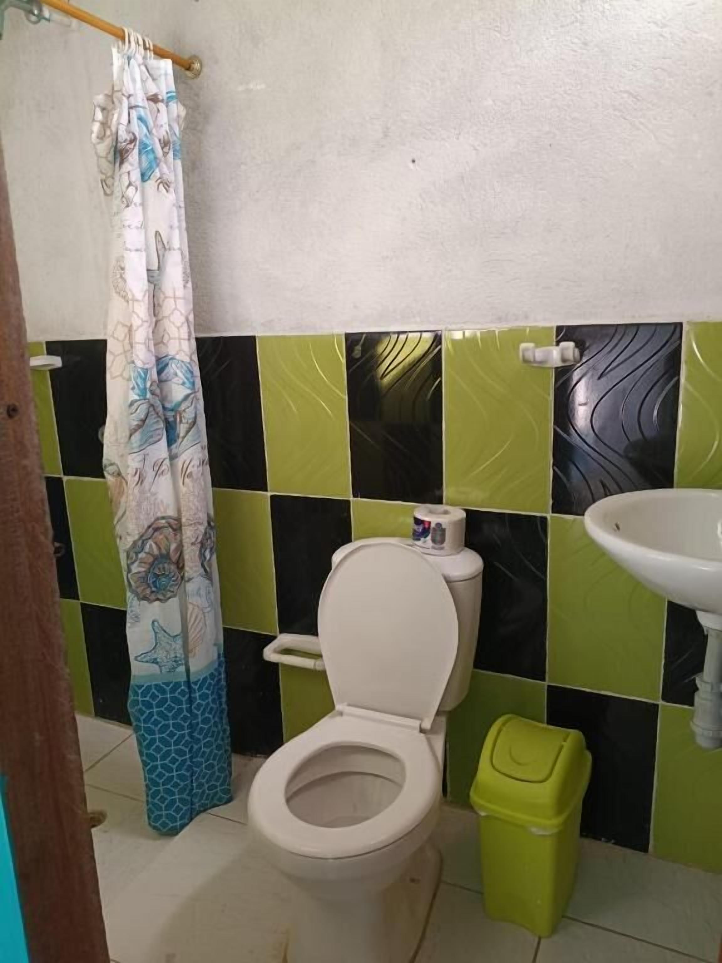 Een badkamer met een toilet, een groene prullenbak en een douchegordijn.