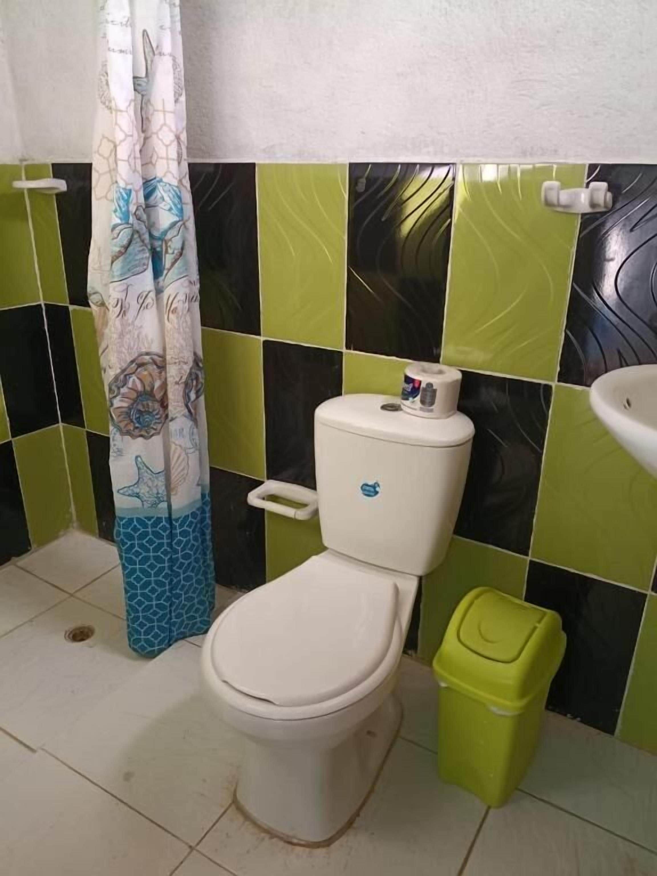 Habitación familiar, para no fumadores, vista a la montaña | Baño | Regadera, toallas, jabón, papel de baño 
