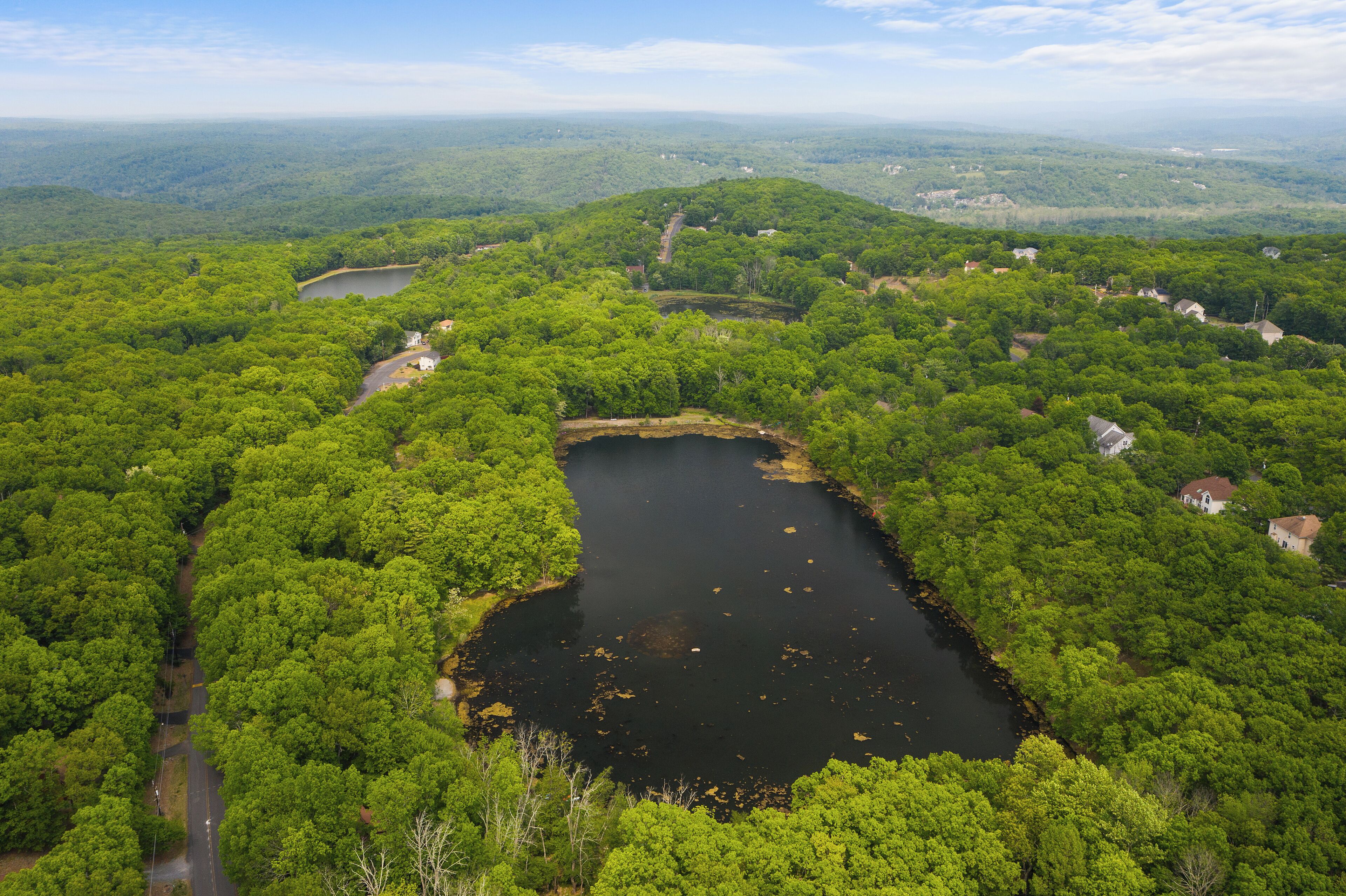 Un lago rodeado de bosque denso y algunas casas.