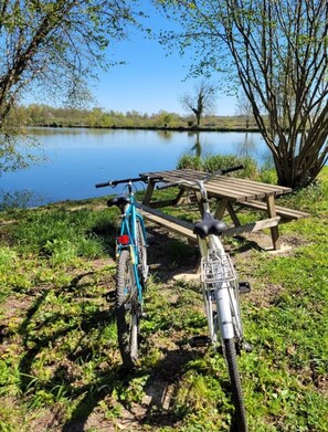 Miscellaneous - La Roulotte du Marais, nestled in a quiet orchard on the banks of the river (Éclusier-Vaux)