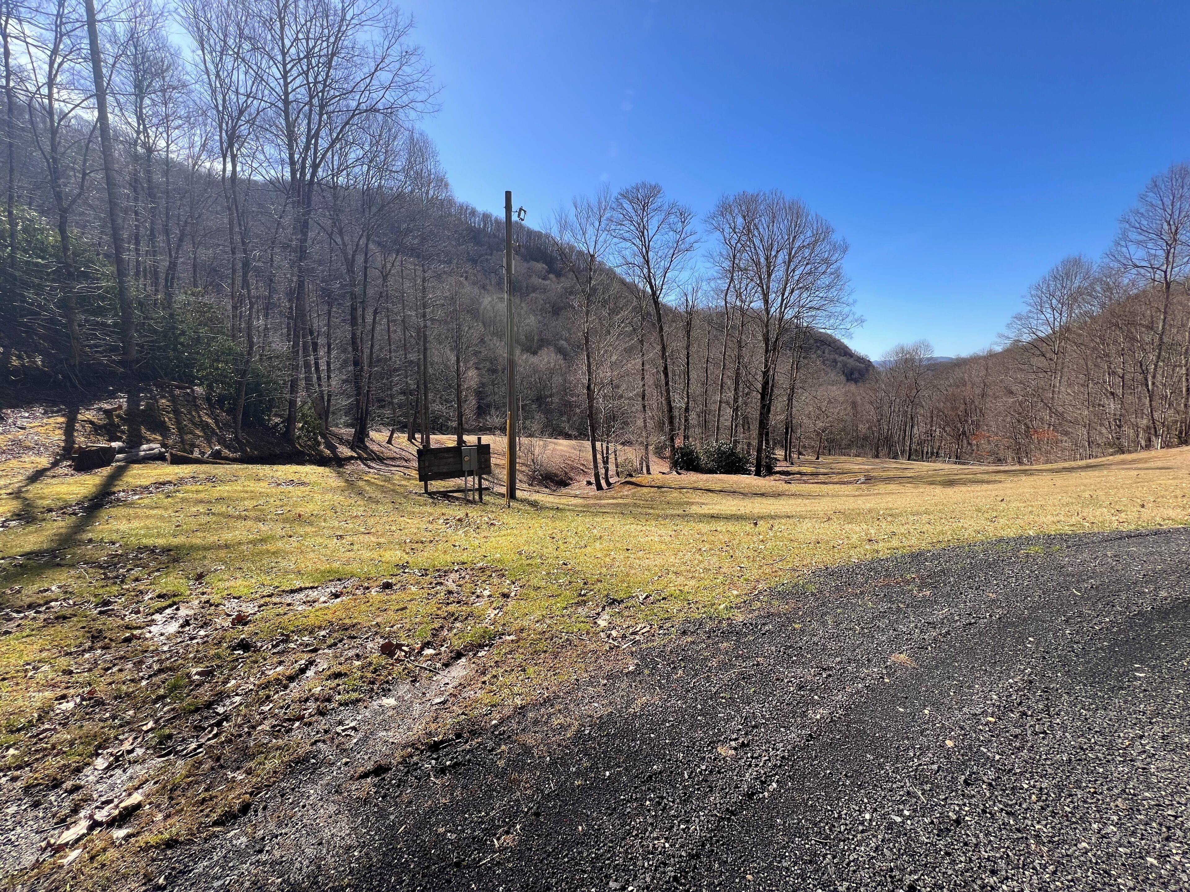 A gravel path leading into a forested area with a bench and a utility pole.