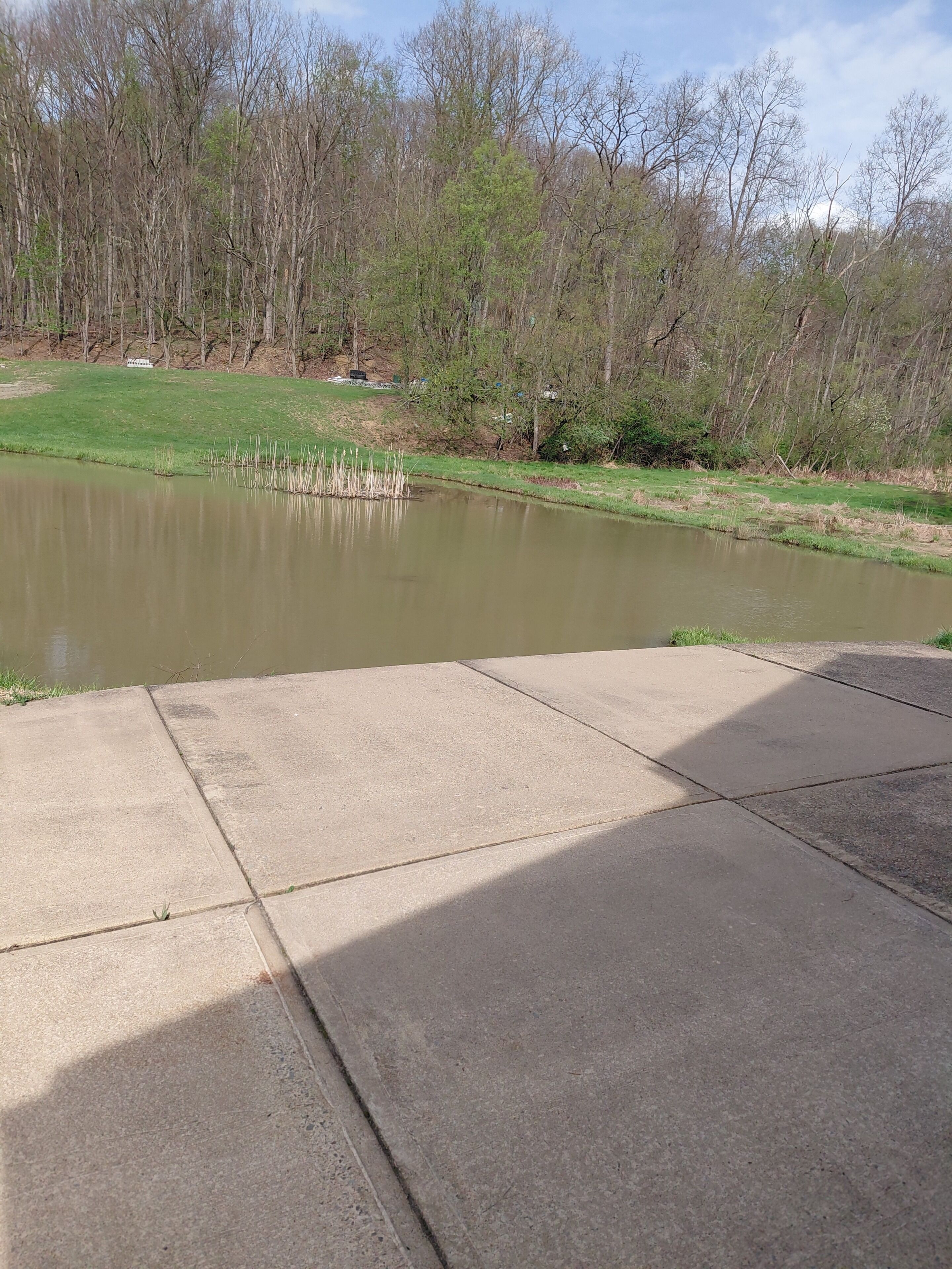A concrete patio area with a pond and trees in the background.