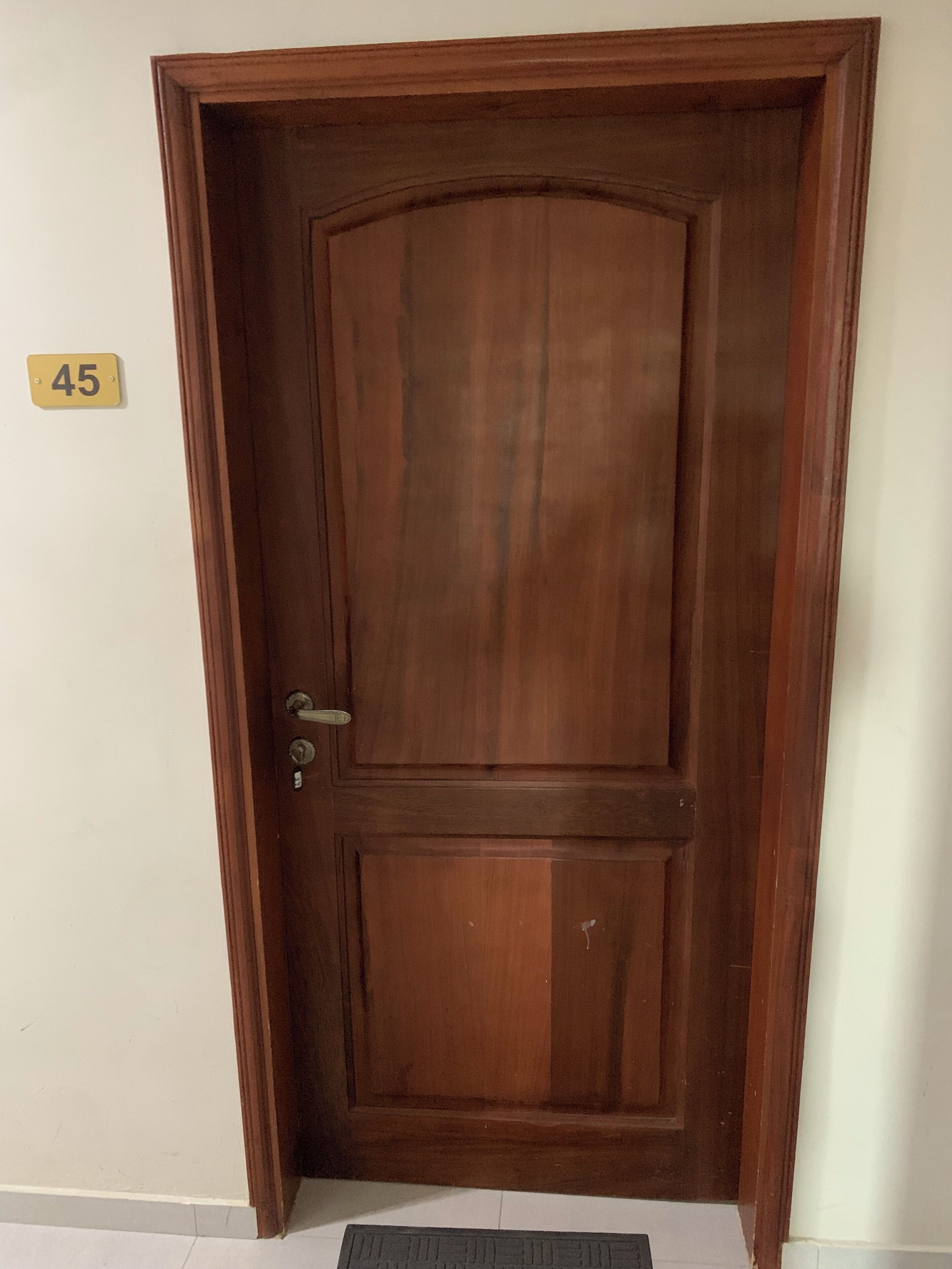 A wooden door with a number plate marked '45' and a metal handle.