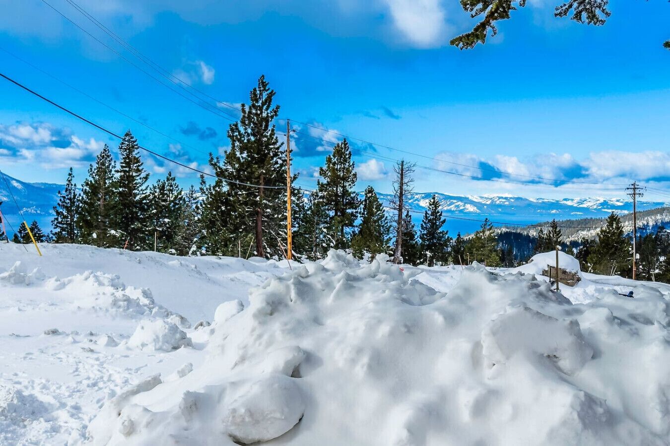 A snowy landscape with trees and a clear sky.