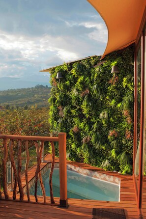 Villa superior, vista a la montaña | Alberca