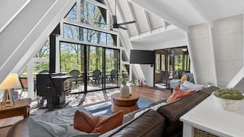 Smart TV, fireplace, books