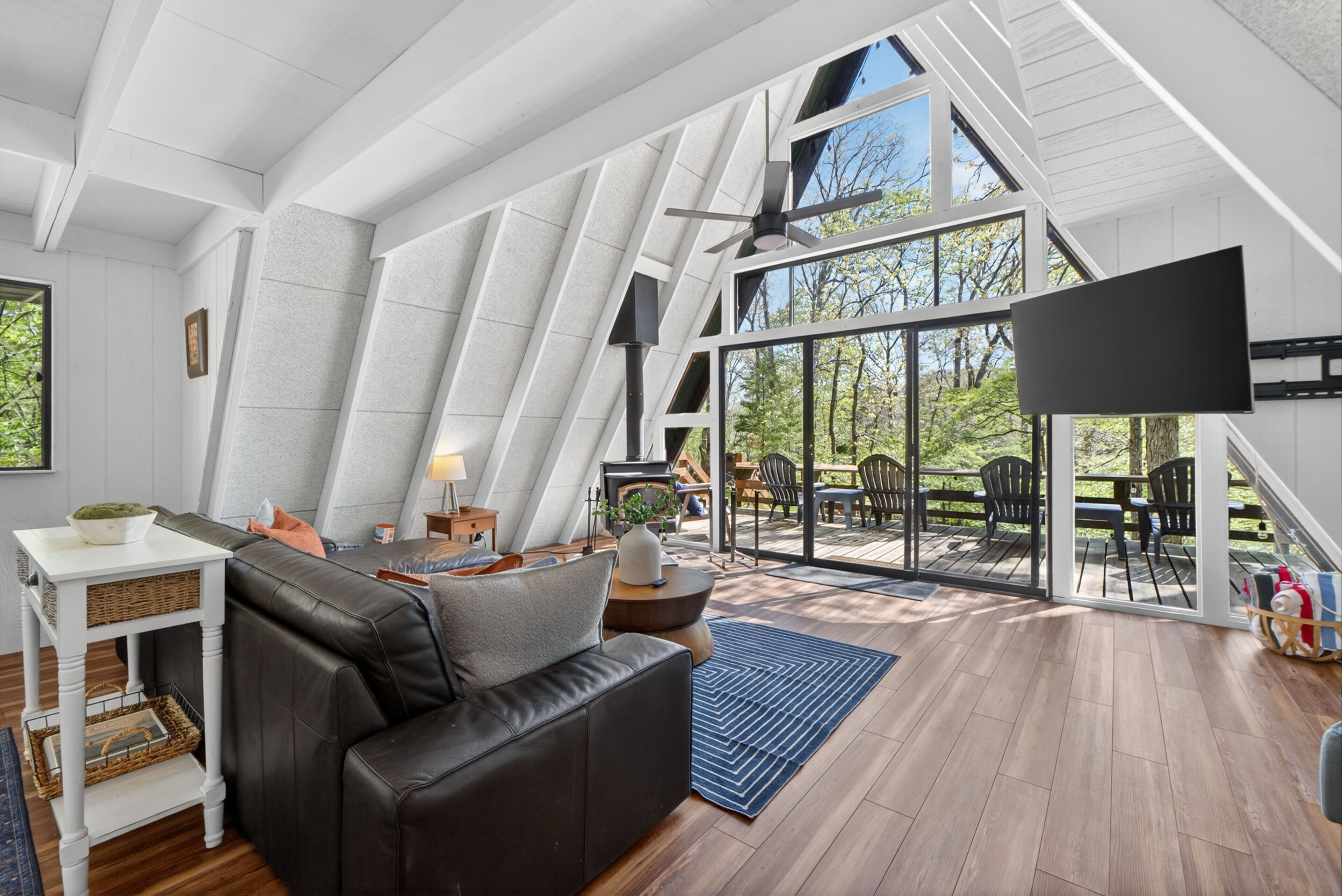 Smart TV, fireplace, books