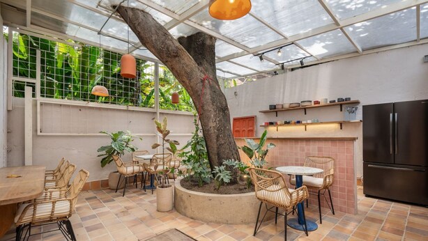 A spacious patio with a large tree, outdoor seating, a kitchen area, and a glass-enclosed structure. - Botánica Básica (Medellín)