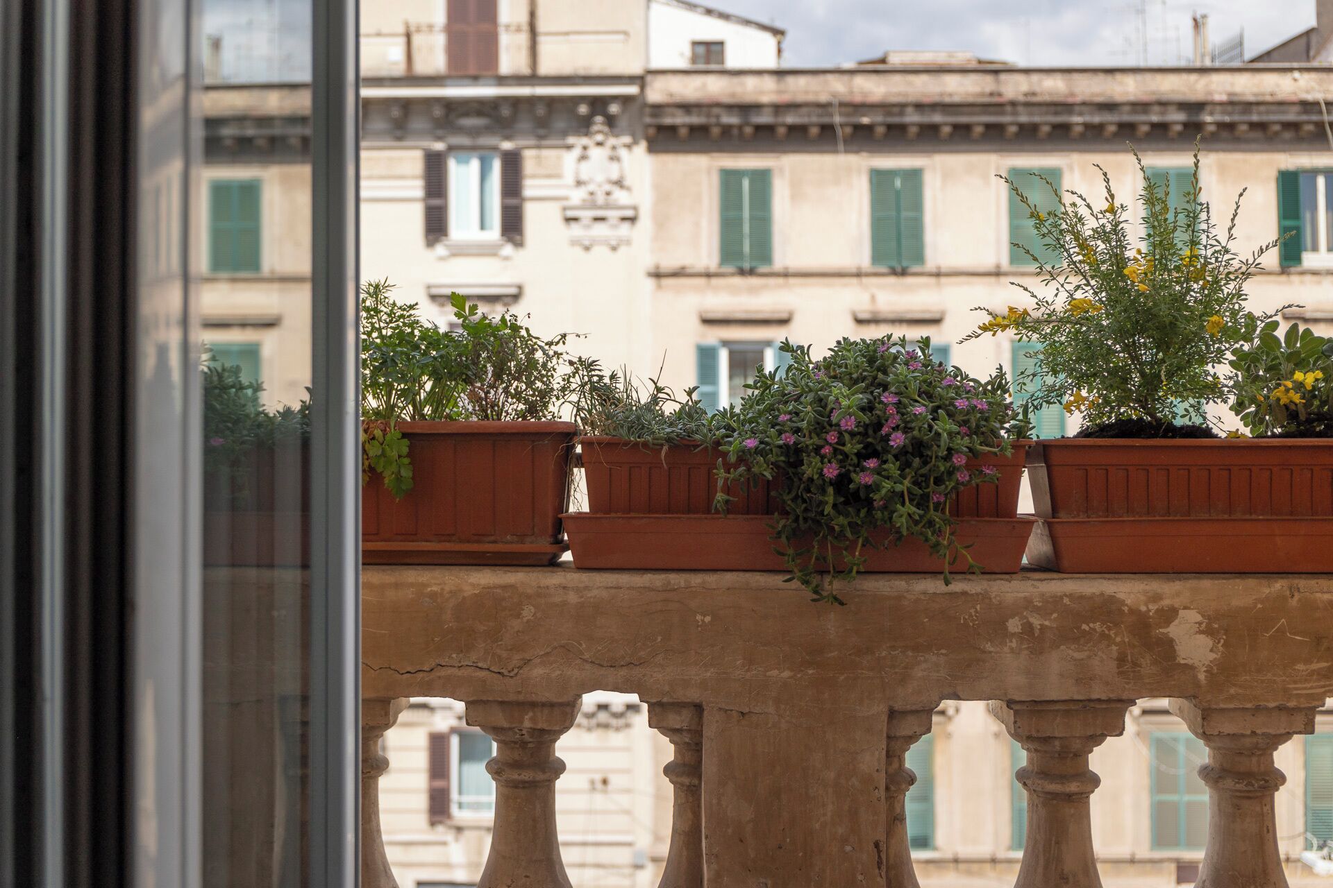 A balcony with terracotta planters containing various plants and flowers.