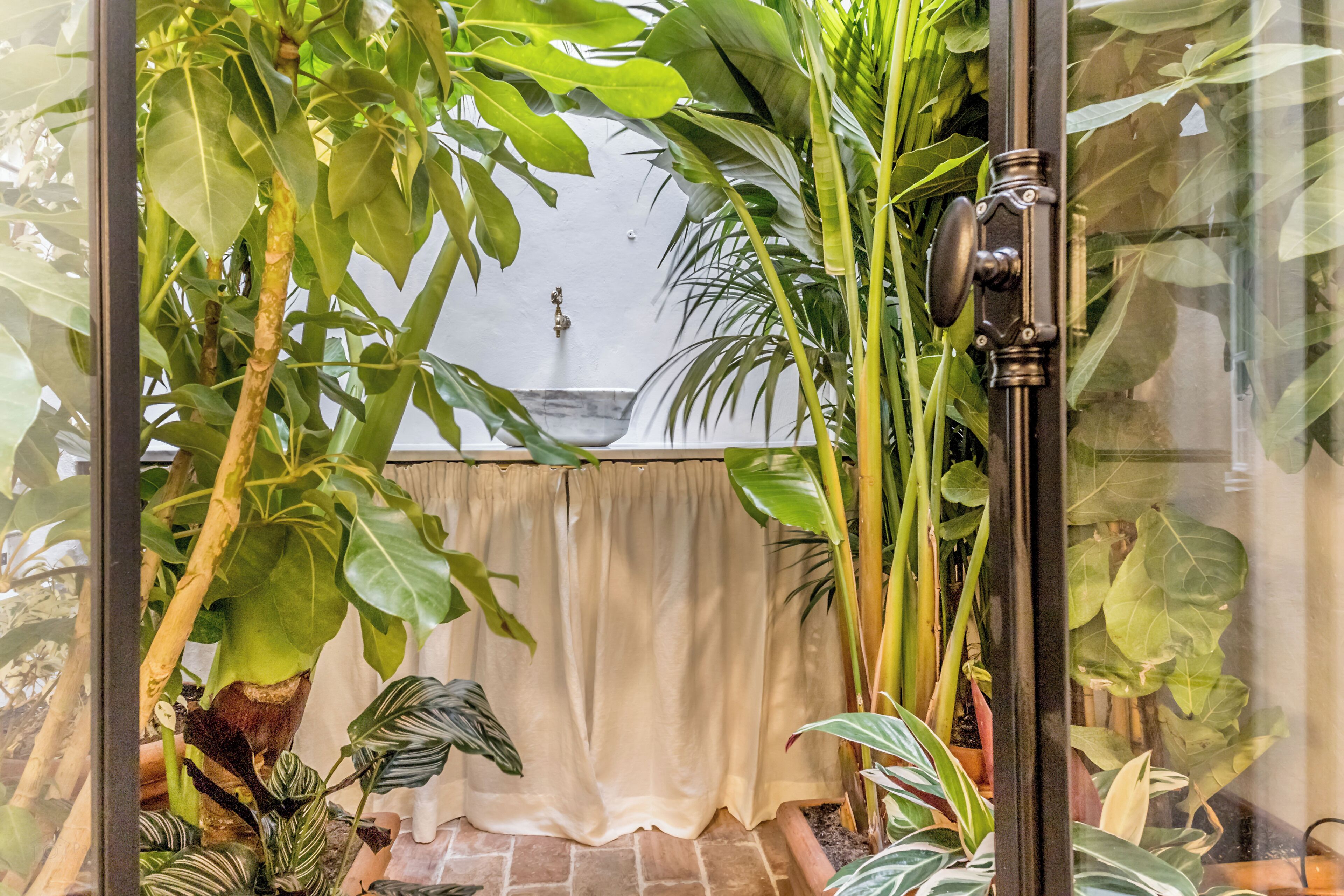 Una habitación con puerta de vidrio, cortina y varias plantas en macetas.