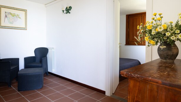 A room with a wooden table, a wicker chair, and a blue sofa. - Olivetello  (Trevignano Romano)