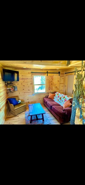 Living area - Homestead cabin on the hill with outdoor movie projector (Mountain View)