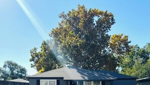 Une maison de plain-pied avec un porche à l’avant, une allée et un arbre en arrière-plan.