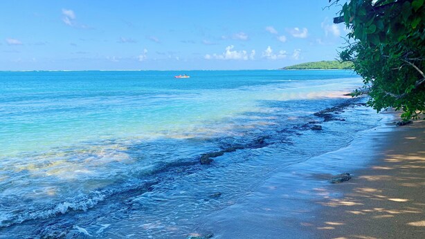 A beach with clear water, a boat in the distance, and a forested area to the right. - Beautiful Hideaway with pool close to hiking, waterfalls and Culebra ferry (Ceiba)