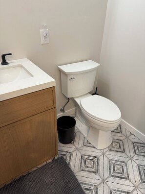 Shower, towels, toilet paper - Cozy 1-bedroom condo in charming downtown Holland in the heart of Tulip Fest (Holland)