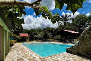 Ein Schwimmbad mit einer terrasse aus Steinplatten, umgeben von üppigem Grün und blauem Himmel.