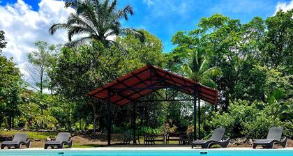 Jungle Casita w/Glass Ceiling Stone Shower, A/C, Pool, Hiking, Mountain Views