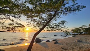 A beach with a tree in the foreground, a clear sky, and the sun setting over the water. - Luxury Apartment Suite in Santa Marta | Ocean View (Santa Marta)