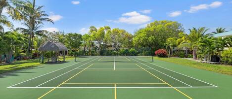 A tennis court with a net, surrounded by palm trees and greenery.