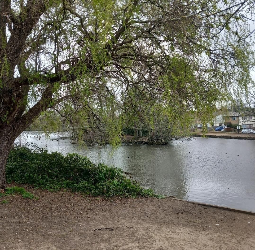 A river with trees and a concrete path.