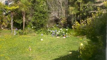 Gemeinsamer Schlafsaal, 2 Schlafzimmer | Garten