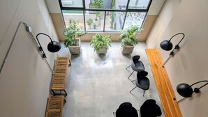 A modern interior with a high ceiling, a wooden bench, black chairs, potted plants, and a view through large windows. - Comfortable private apartment near the Tennis Club in Cali salsa city with AC. (Cali)