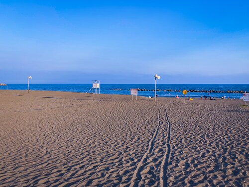 Shonan Minpaku Kabigon