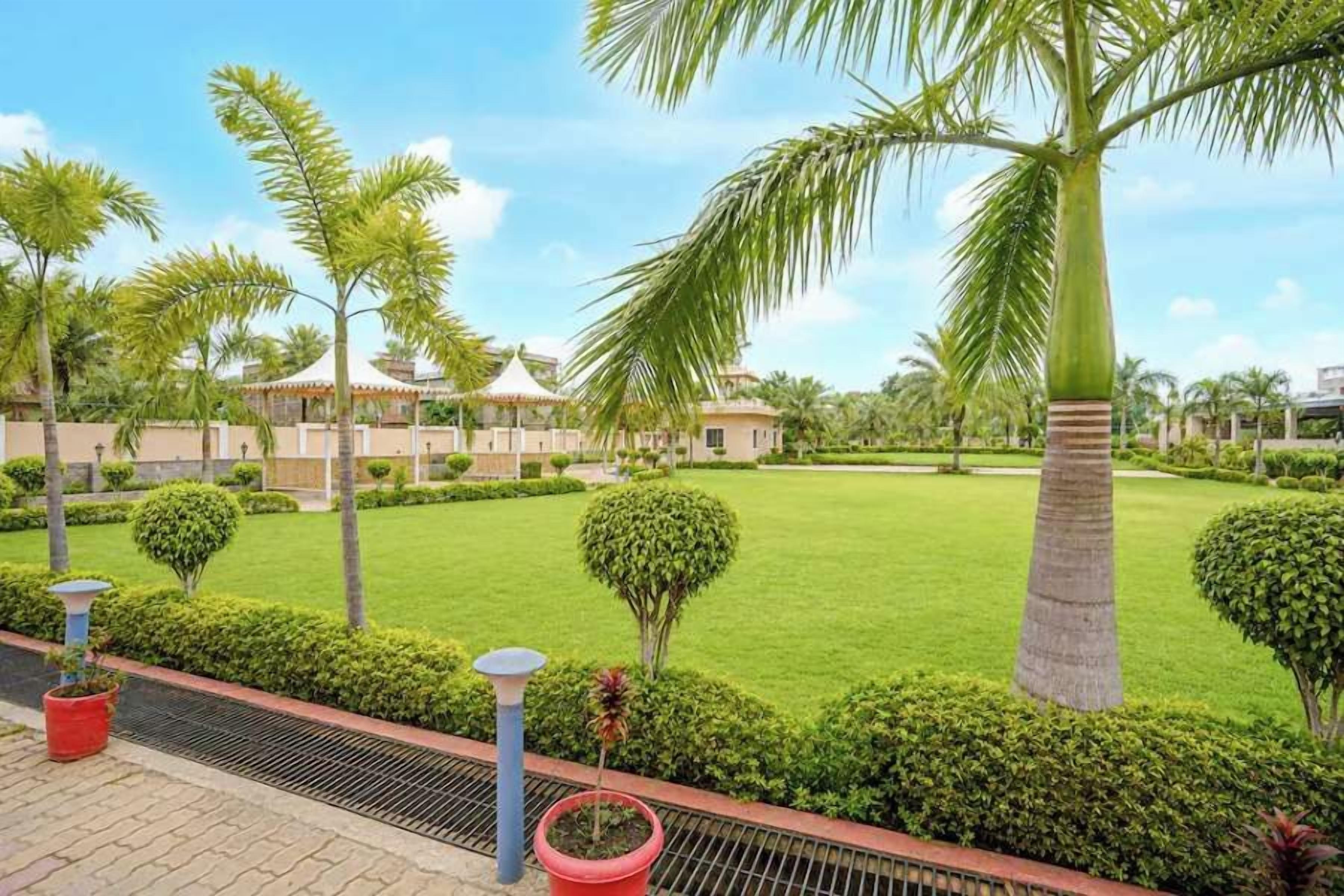 A well-maintained garden with palm trees, neatly trimmed hedges, and a clear sky.