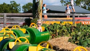 Property grounds - Starry Snug - A Romantic & Relaxing Getaway (Hillsville)