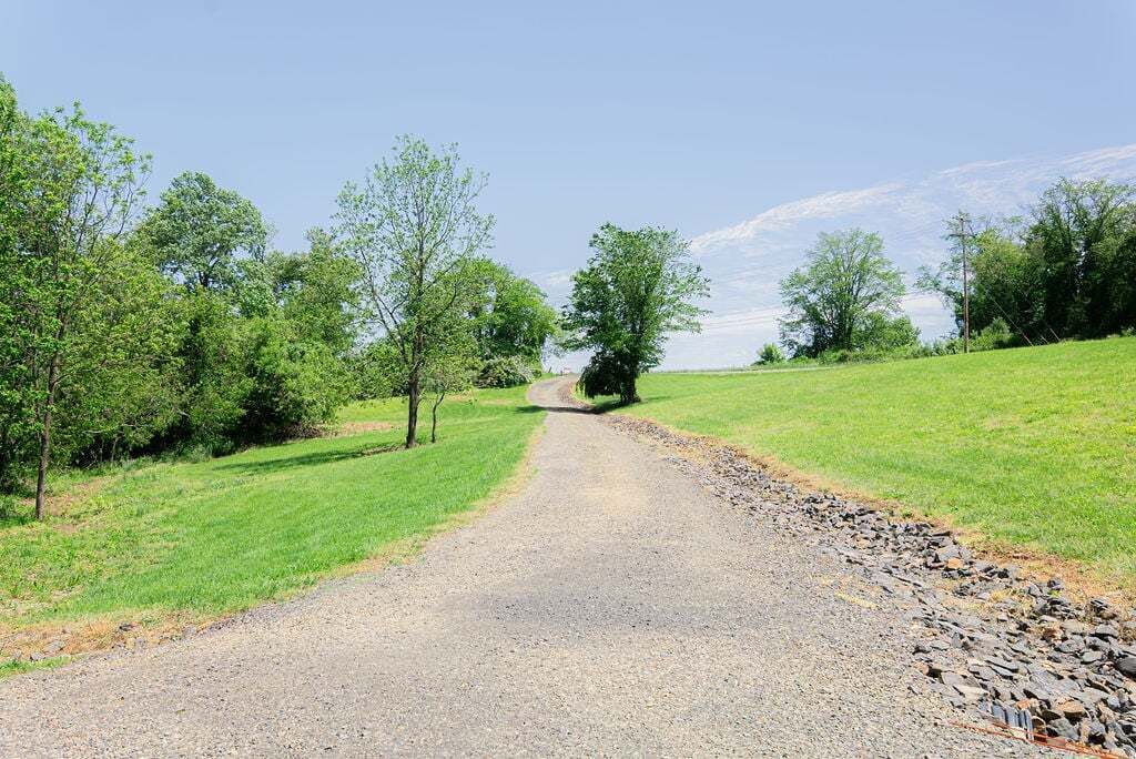 A gravel path leading through a grassy area with trees on both sides.