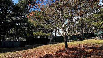 Chalet, 3 Bedrooms, Balcony | Property grounds
