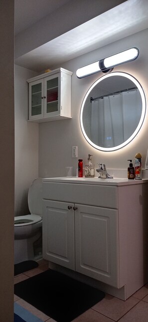 Bathroom - 2 cozy bedrooms basement apartment (Richmond Hill)