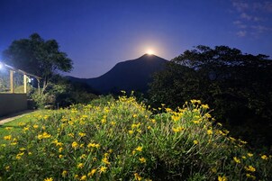 Una vista nocturna de una montaña con una luna brillante, rodeada de follaje y flores amarillas.