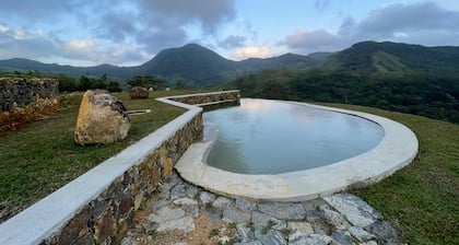 Royal Mountain Edge Knuckles