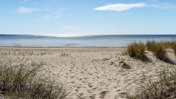 Ein Sandstrand mit Dünen und wolkenlosem Himmel.
