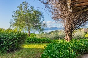 A garden with a variety of plants and trees, a clear sky, and a distant view of mountains. - Stunning villa with sea view (Capoliveri)