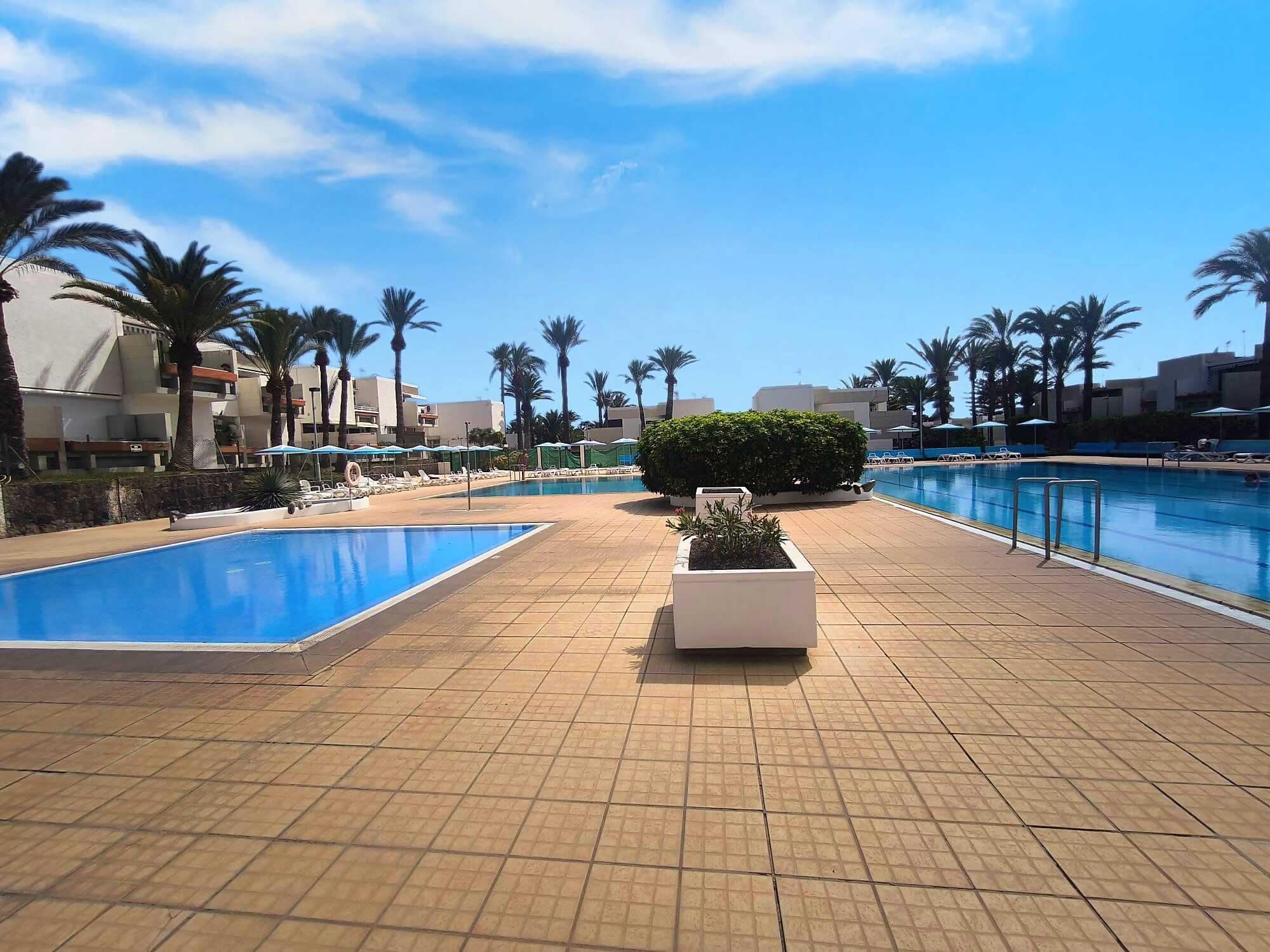 A pool area with two swimming pools, palm trees, and lounge chairs.