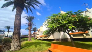 A residential area with palm trees, a grassy lawn, and a building with balconies. - RenTenerife El Romantico (Galletas, Las)