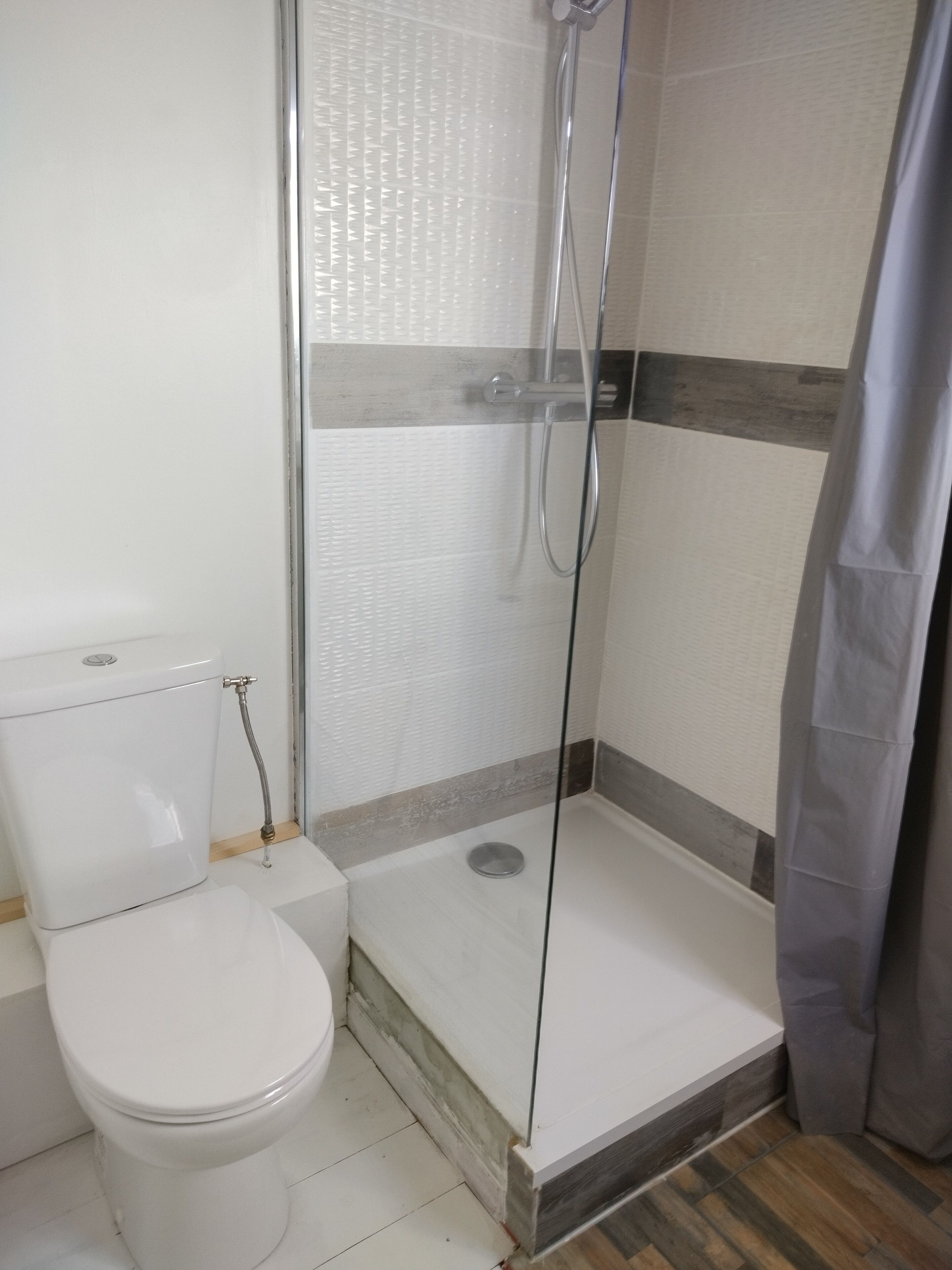 A bathroom with a toilet, a shower with a glass door, and a shower curtain.