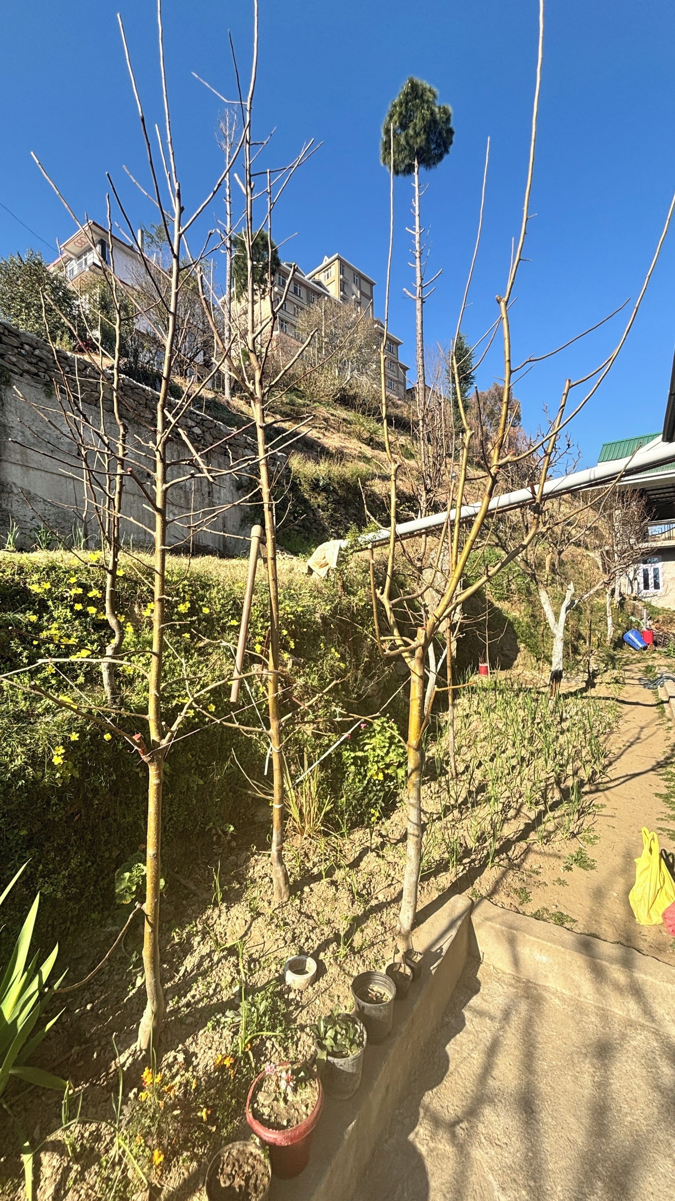 المنطقة المحيطة بالمنشأة