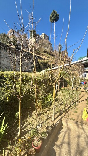 Property grounds - Sunrise View Farm-stay Narkanda (Kumharsain)