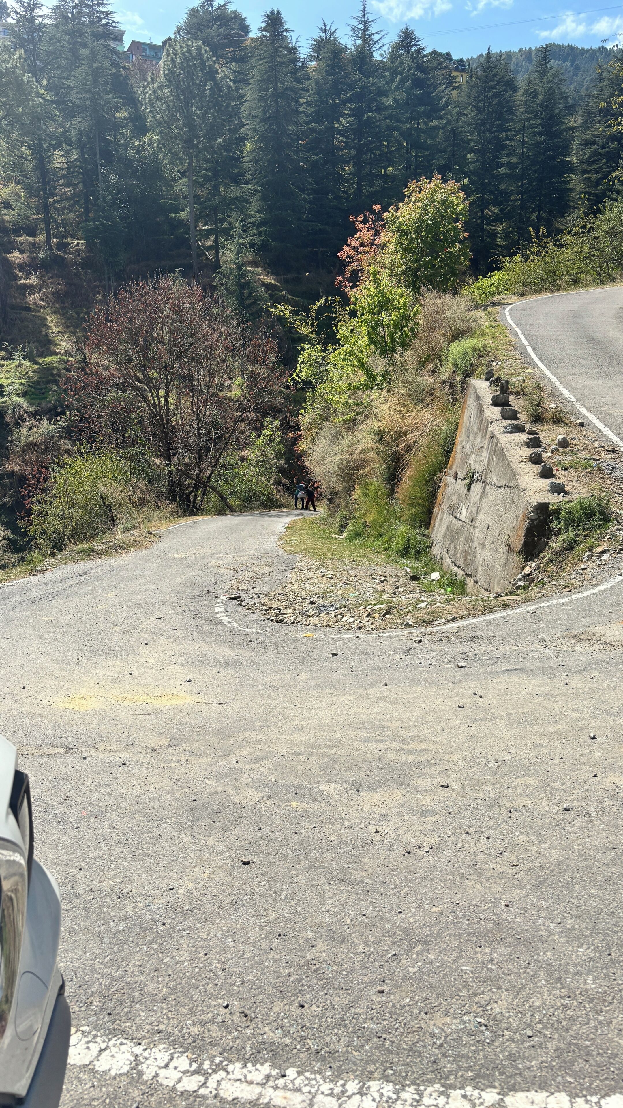A winding road with a guardrail, surrounded by dense forest and a building in the background.