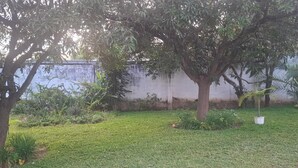 Un espacio al aire libre con césped, árboles y una pared blanca al fondo.