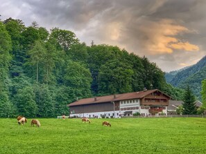 Ländliche Umgebung mit einem großen Gebäude, möglicherweise ein Hotel, umgeben von üppigem Grün und einer Bergkulisse.